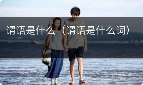 谓语是什么（谓语是什么词）