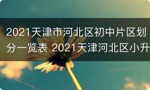 2021天津市河北区初中片区划分一览表 2021天津河北区小升初划片