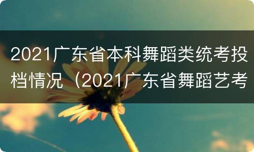 2021广东省本科舞蹈类统考投档情况（2021广东省舞蹈艺考分数线）