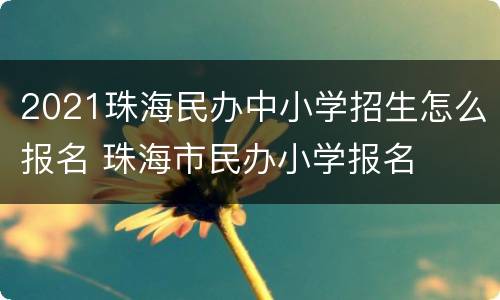 2021珠海民办中小学招生怎么报名 珠海市民办小学报名