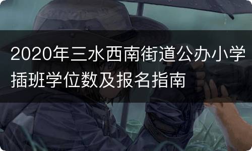 2020年三水西南街道公办小学插班学位数及报名指南