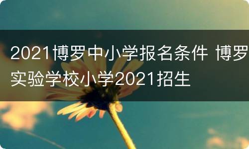 2021博罗中小学报名条件 博罗实验学校小学2021招生