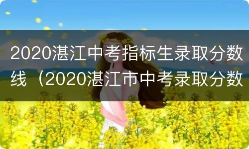 2020湛江中考指标生录取分数线（2020湛江市中考录取分数线）