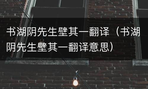 书湖阴先生壁其一翻译（书湖阴先生壁其一翻译意思）