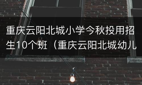 重庆云阳北城小学今秋投用招生10个班（重庆云阳北城幼儿园）