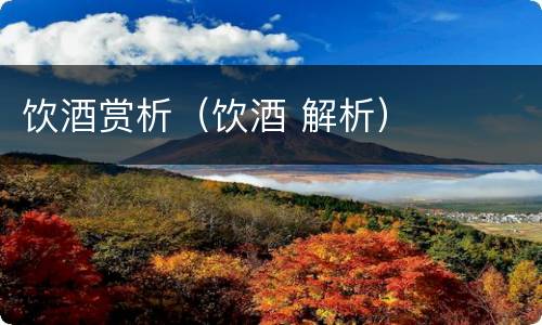 饮酒赏析（饮酒 解析）