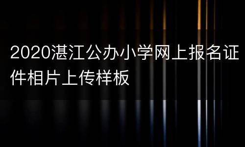 2020湛江公办小学网上报名证件相片上传样板