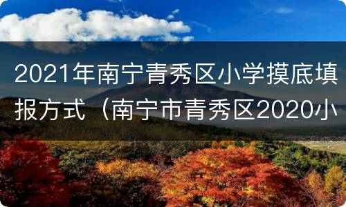 2021年南宁青秀区小学摸底填报方式（南宁市青秀区2020小学摸底报名）
