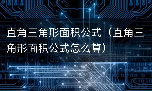 直角三角形面积公式（直角三角形面积公式怎么算）