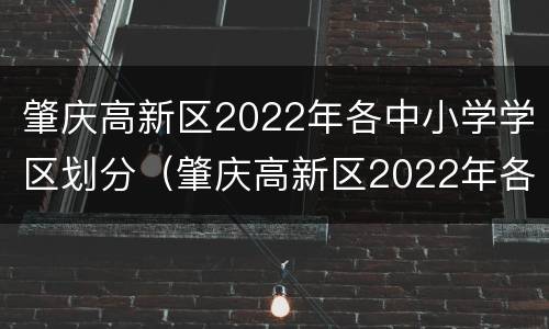 肇庆高新区2022年各中小学学区划分（肇庆高新区2022年各中小学学区划分图片）