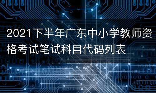 2021下半年广东中小学教师资格考试笔试科目代码列表