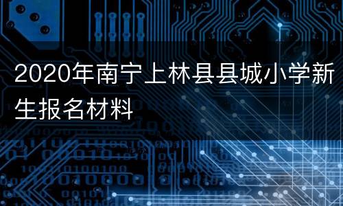 2020年南宁上林县县城小学新生报名材料