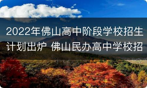 2022年佛山高中阶段学校招生计划出炉 佛山民办高中学校招生2020