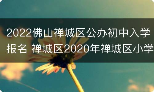 2022佛山禅城区公办初中入学报名 禅城区2020年禅城区小学初中新生入学