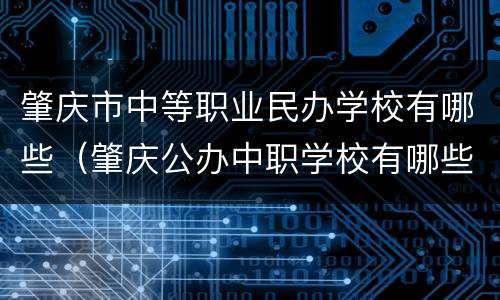 肇庆市中等职业民办学校有哪些（肇庆公办中职学校有哪些）
