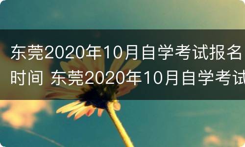 东莞2020年10月自学考试报名时间 东莞2020年10月自学考试报名时间及费用
