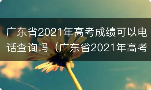 广东省2021年高考成绩可以电话查询吗（广东省2021年高考成绩可以电话查询吗知乎）
