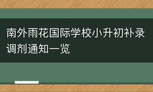 南外雨花国际学校小升初补录调剂通知一览