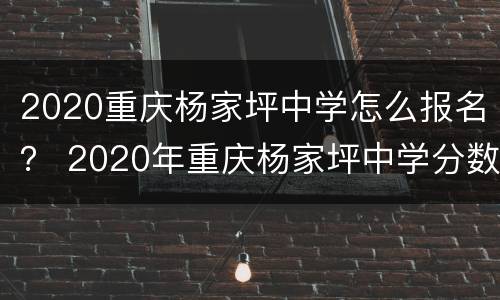 2020重庆杨家坪中学怎么报名？ 2020年重庆杨家坪中学分数线