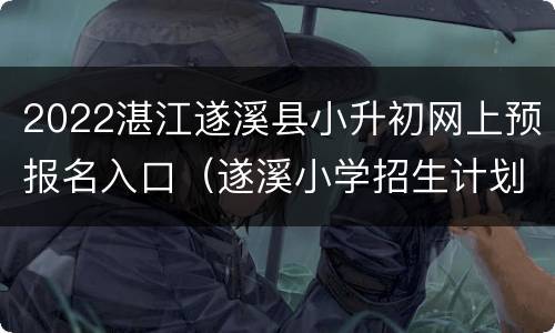 2022湛江遂溪县小升初网上预报名入口（遂溪小学招生计划）
