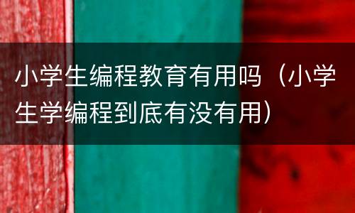 小学生编程教育有用吗（小学生学编程到底有没有用）