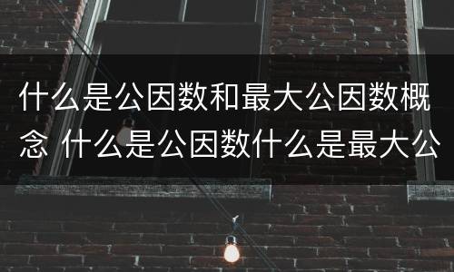 什么是公因数和最大公因数概念 什么是公因数什么是最大公因数他们有什么区别