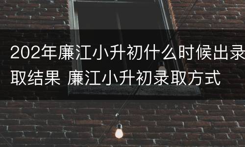 202年廉江小升初什么时候出录取结果 廉江小升初录取方式