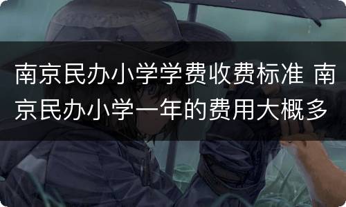 南京民办小学学费收费标准 南京民办小学一年的费用大概多少