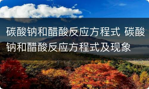 碳酸钠和醋酸反应方程式 碳酸钠和醋酸反应方程式及现象