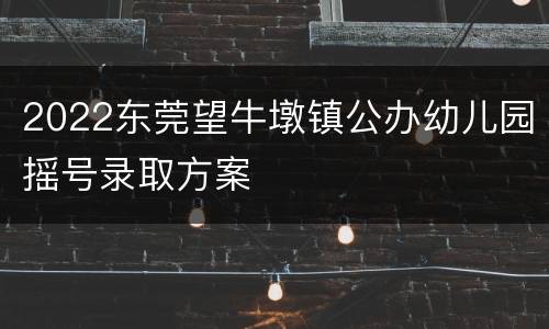 2022东莞望牛墩镇公办幼儿园摇号录取方案