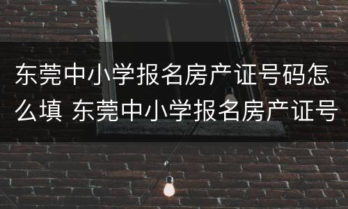 东莞中小学报名房产证号码怎么填 东莞中小学报名房产证号码怎么填不了