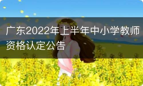 广东2022年上半年中小学教师资格认定公告