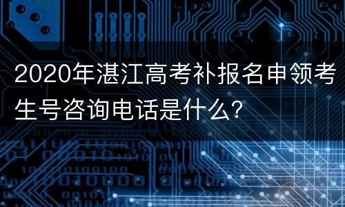 2020年湛江高考补报名申领考生号咨询电话是什么？