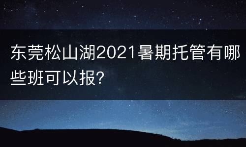 东莞松山湖2021暑期托管有哪些班可以报？