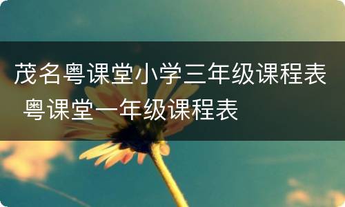 茂名粤课堂小学三年级课程表 粤课堂一年级课程表