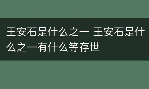 王安石是什么之一 王安石是什么之一有什么等存世