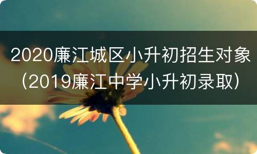 2020廉江城区小升初招生对象（2019廉江中学小升初录取）