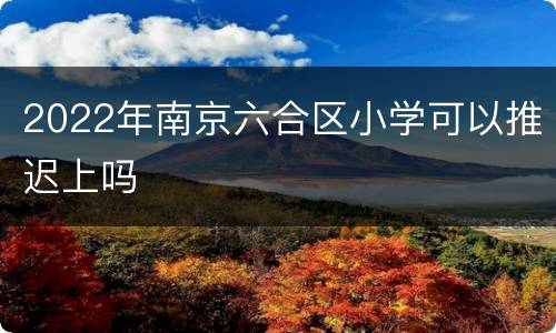 2022年南京六合区小学可以推迟上吗