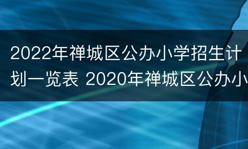 2022年禅城区公办小学招生计划一览表 2020年禅城区公办小学招生
