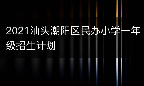 2021汕头潮阳区民办小学一年级招生计划