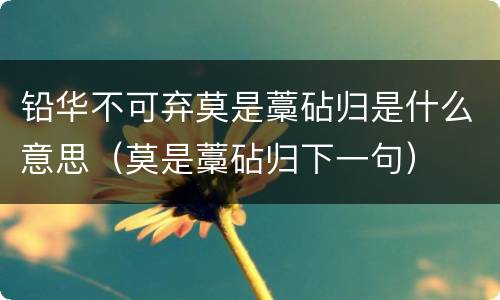 铅华不可弃莫是藁砧归是什么意思（莫是藁砧归下一句）