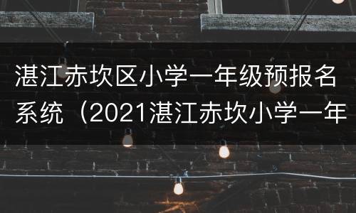 湛江赤坎区小学一年级预报名系统（2021湛江赤坎小学一年级报名网站）