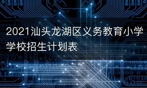 2021汕头龙湖区义务教育小学学校招生计划表