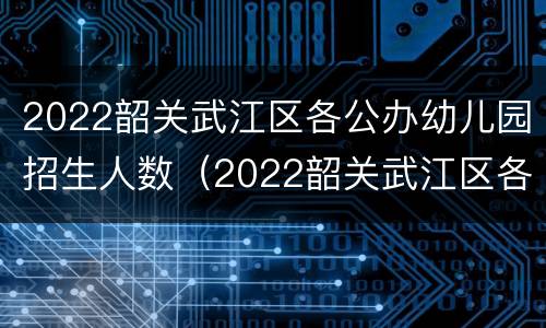 2022韶关武江区各公办幼儿园招生人数（2022韶关武江区各公办幼儿园招生人数表）