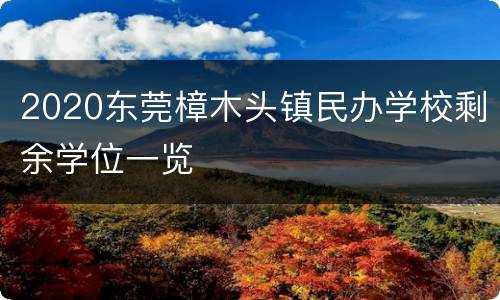 2020东莞樟木头镇民办学校剩余学位一览