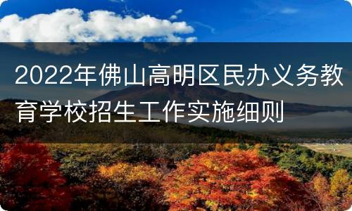 2022年佛山高明区民办义务教育学校招生工作实施细则