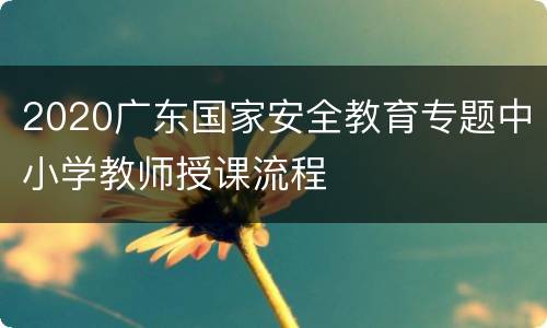 2020广东国家安全教育专题中小学教师授课流程