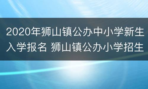 2020年狮山镇公办中小学新生入学报名 狮山镇公办小学招生