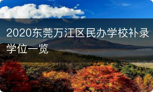 2020东莞万江区民办学校补录学位一览