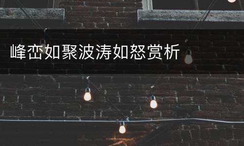 峰峦如聚波涛如怒赏析